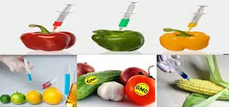 Genetically modified foods highly scrutinised for safety-NGO