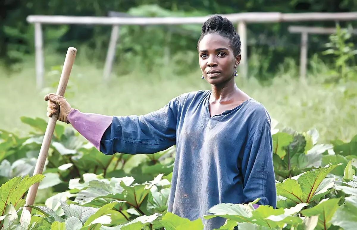 Farmers seek timely distribution of inputs for 2019 wet season farming