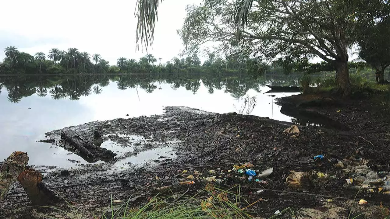 Ogoni clean-up: Stakeholders advocate holistic approach to process Ogoni clean-up: Stakeholders advocate holistic approach to process