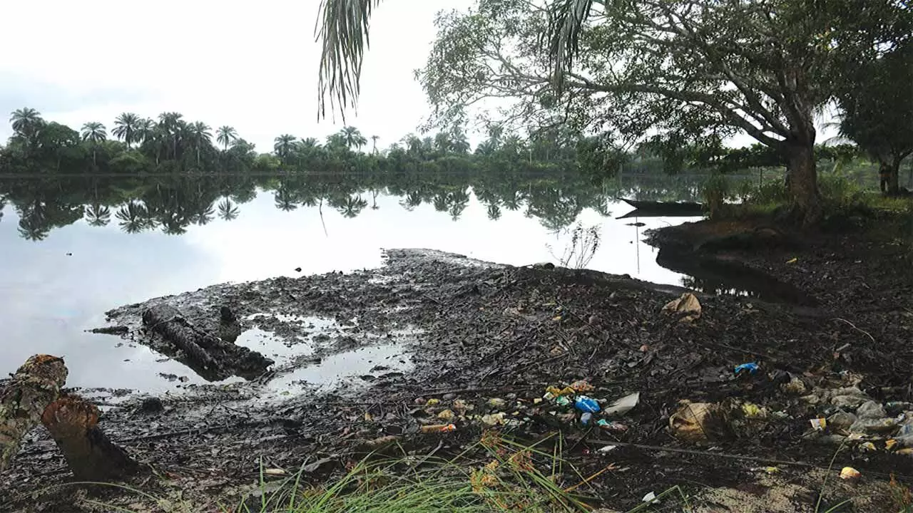 Ogoni Clean-up: FG hands over remediation sites to contractors