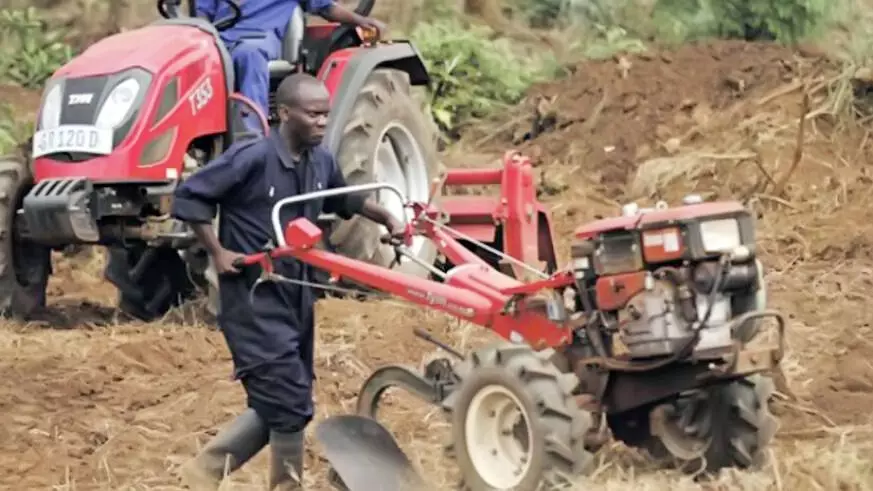 Rivers ALFAN secures 1000 hectares of land for maize cultivation – Chairman