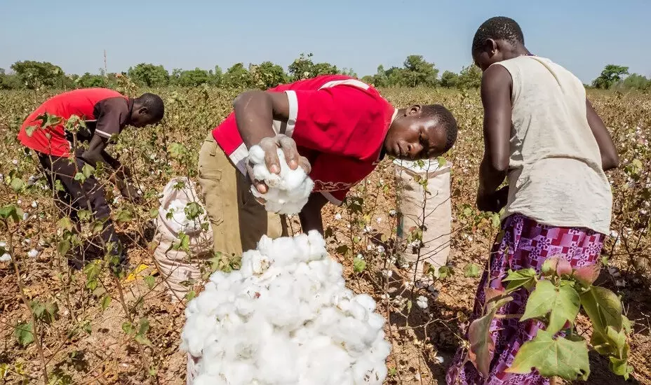 CBN inaugurates committee to revive cotton, garment, textile sector CBN inaugurates committee to revive cotton, garment, textile sector
