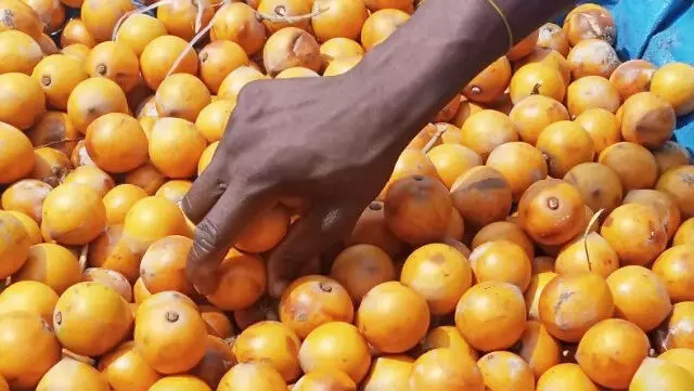 Consumption of fruits, vegetables can prevent cancer — Expert