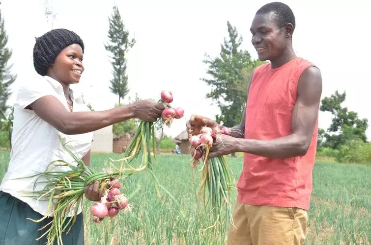 Onion farmers task Research Institutes on storage facilities