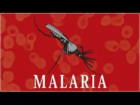 Malaria eradication: USAID advocates behavioural change Malaria eradication: USAID advocates behavioural change