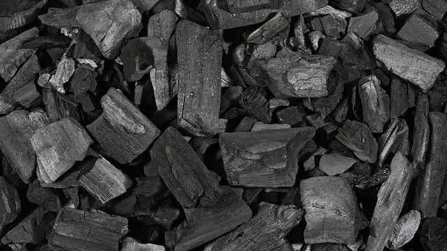 Charcoal can treat ulcer, lower cholesterol, poison extraction -expert