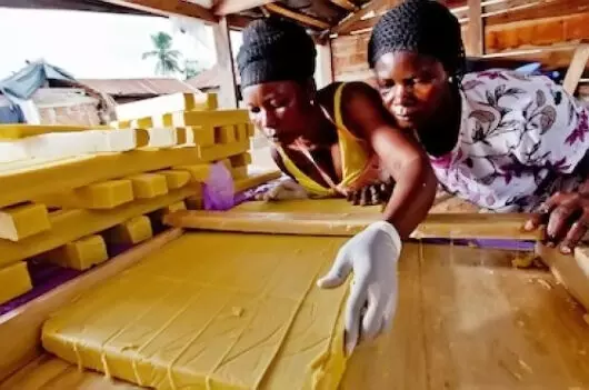 SME African trains, empowers 100 domestic violated women on entrepreneurship