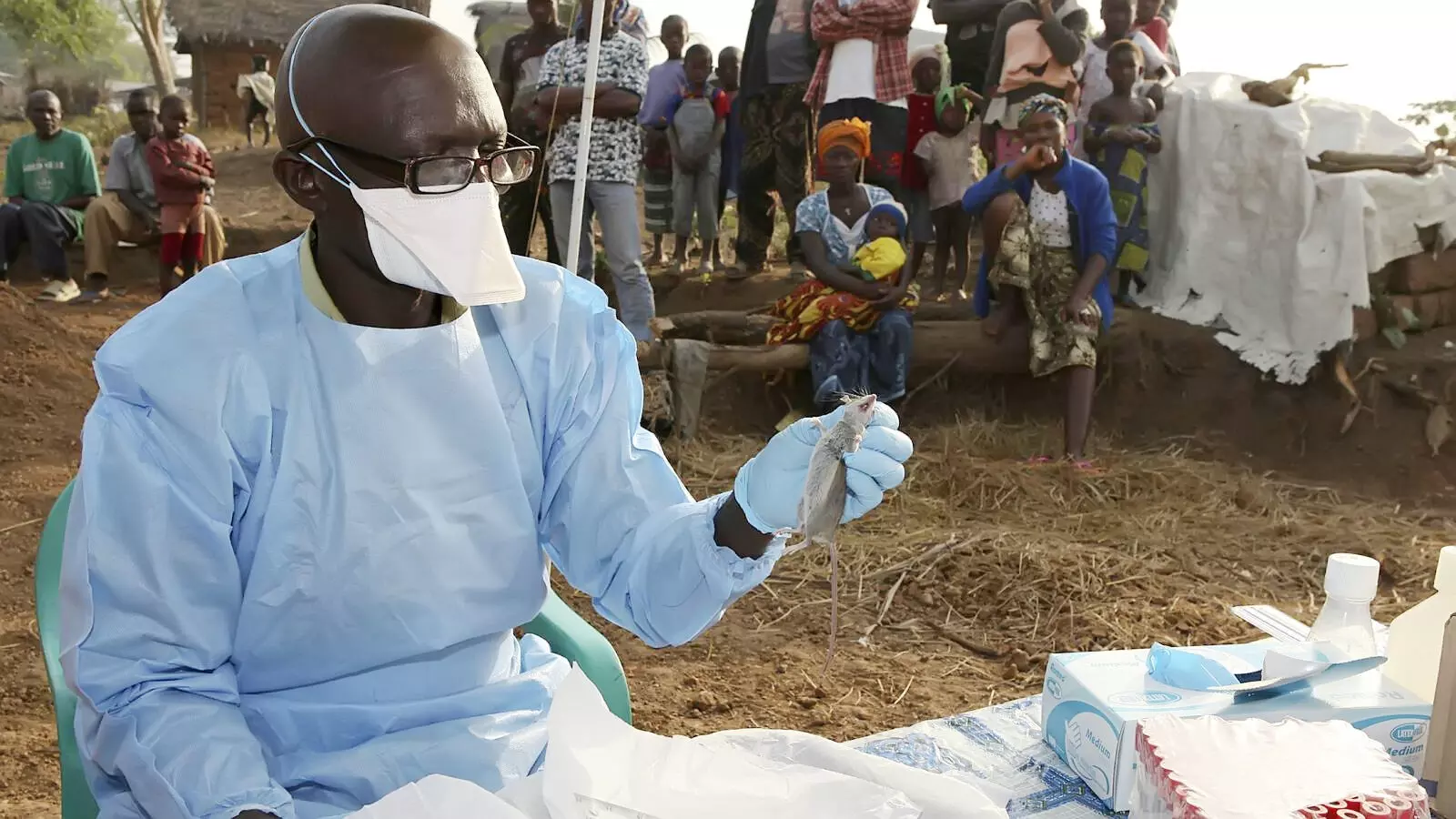 Lassa fever: 10 killed, 28 new cases confirmed – Commissioner Lassa fever: 10 killed, 28 new cases confirmed – Commissioner