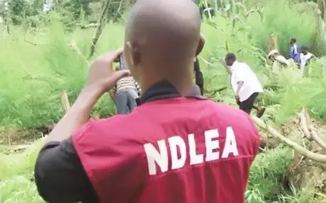 NDLEA uncovers illegal hard drug laboratory