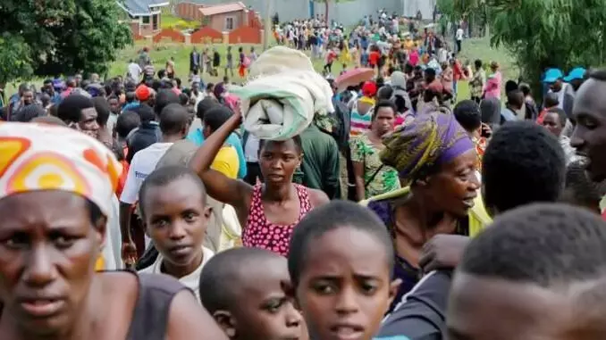 32,000 Cameroonians seeking refuge in Nigeria – UN 32,000 Cameroonians seeking refuge in Nigeria – UN