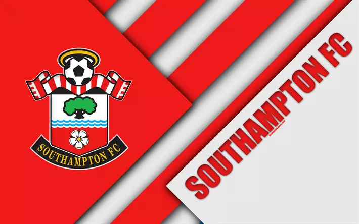 Southampton are showing their true potential, says Hasenhuettl