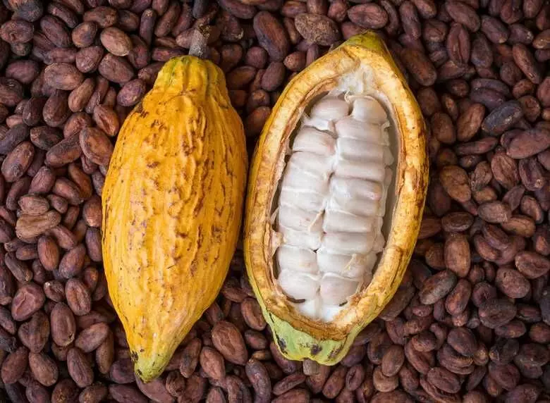 C’River govt to produce 500,000 tonnes of cocoa annually – Official