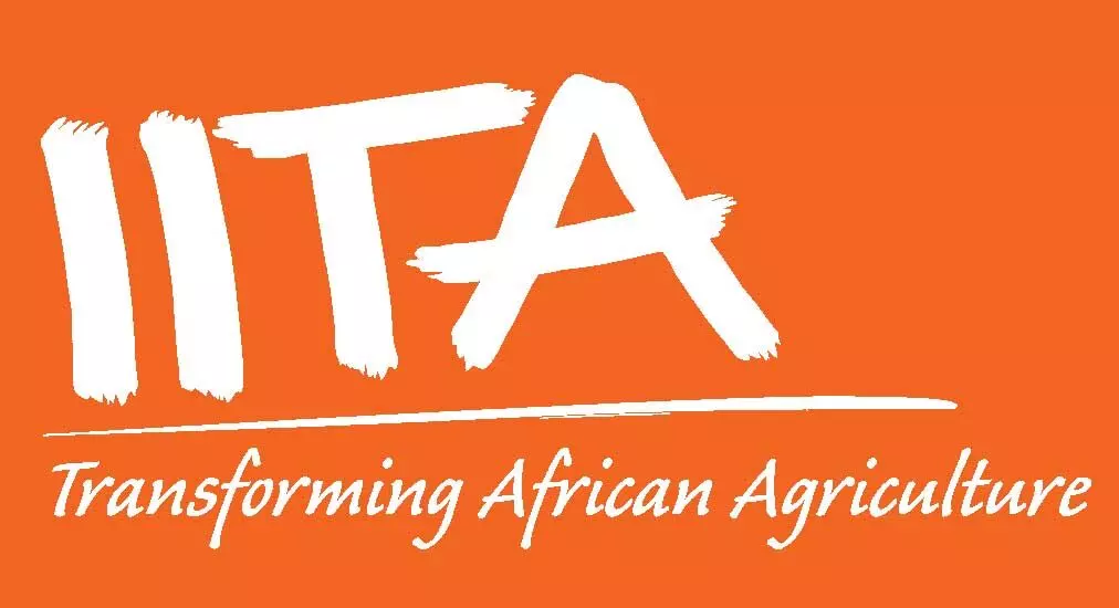 7.2 million Africans lifted out of poverty through IITA’s research innovations – DG