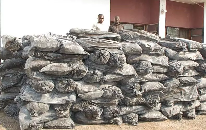 Cannabis: NDLEA seizes 201 bags in FCT