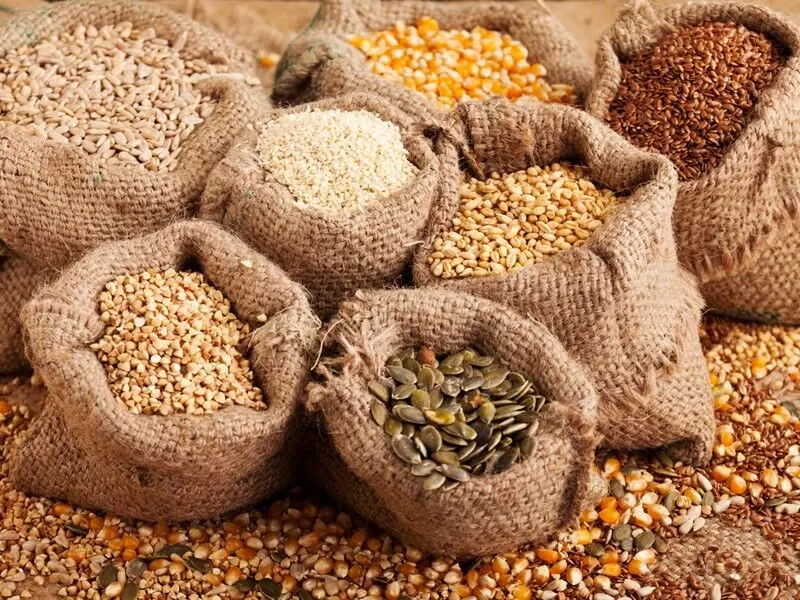 Seed industries want increased access to financing