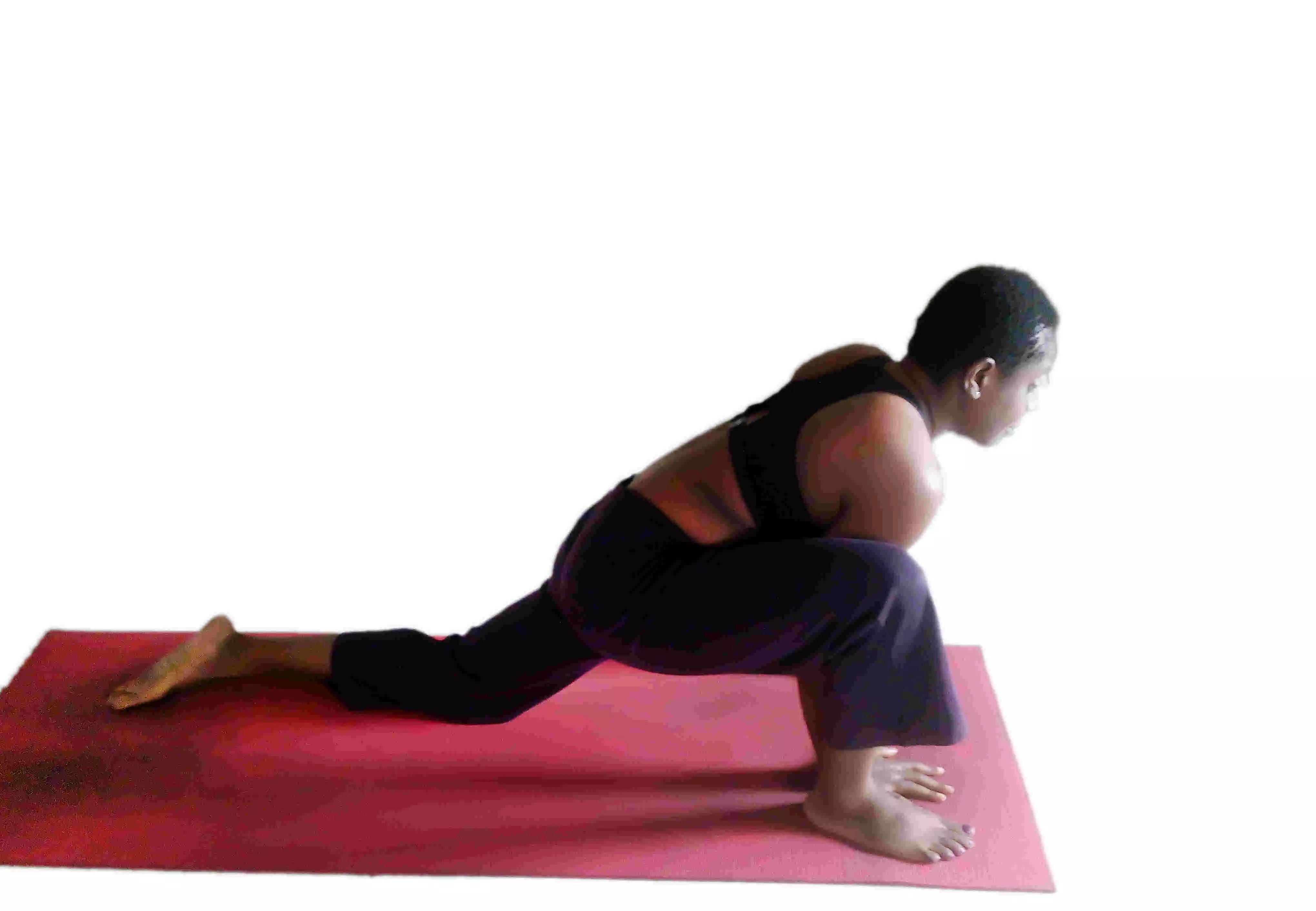 PROSE: The Lizard Story… PROSE: The Lizard Story…