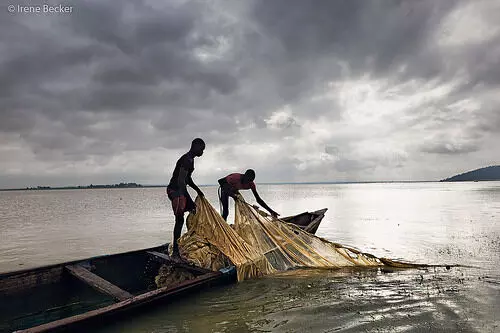 FG to assist fish farmers meet global demand – Ogbeh