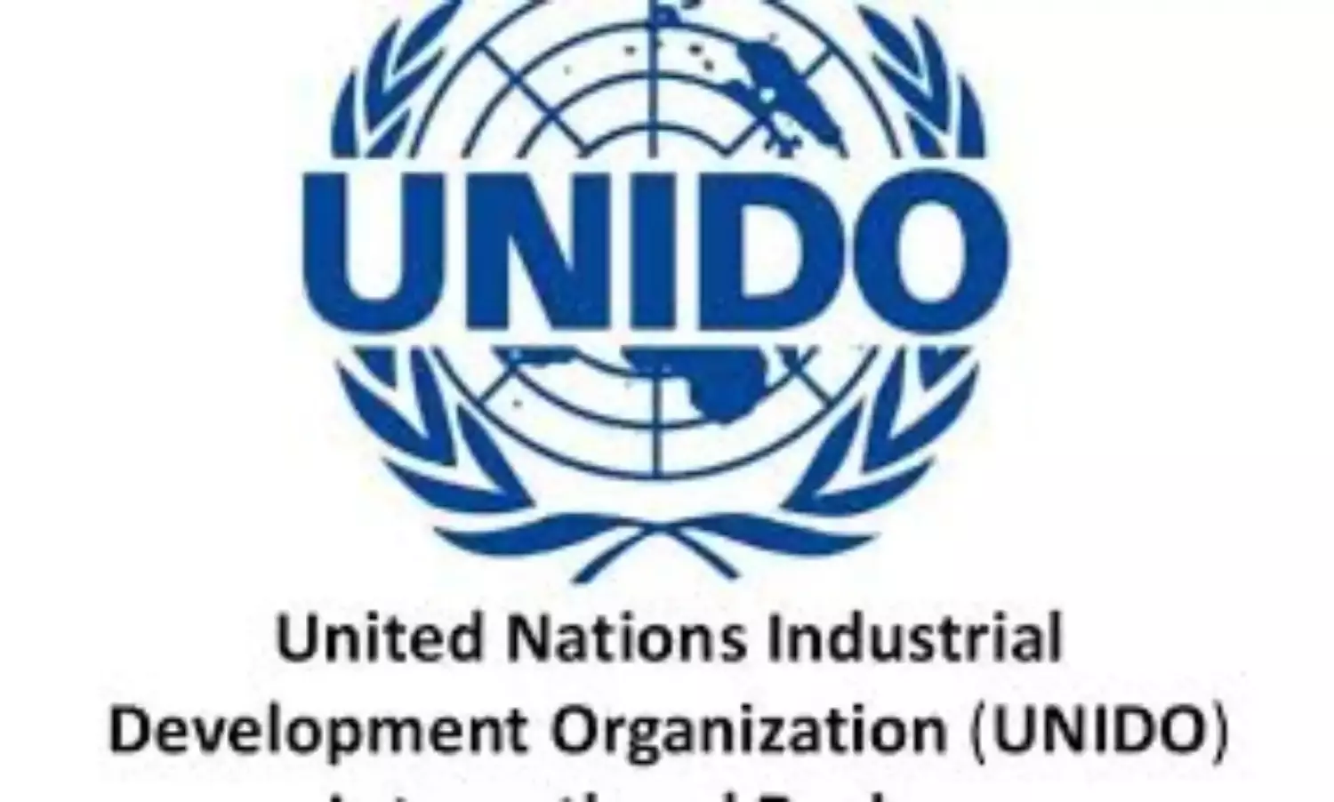 Election of African Candidate for UNIDO Chief Can Boost Industrialisation – Expert