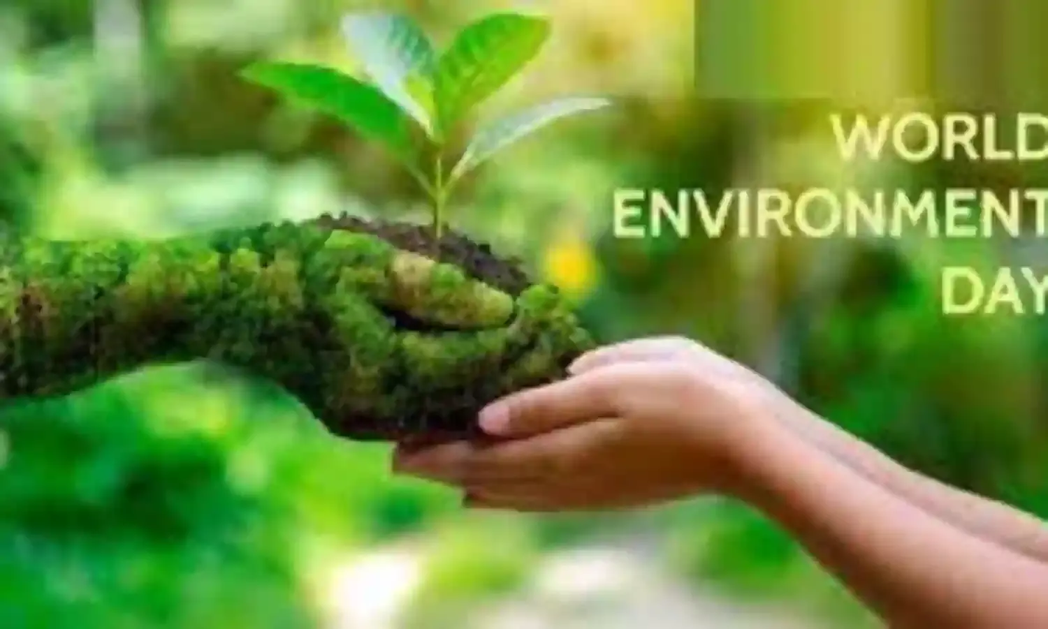 Protect Wetlands, Lagos TUC Urges Govt.