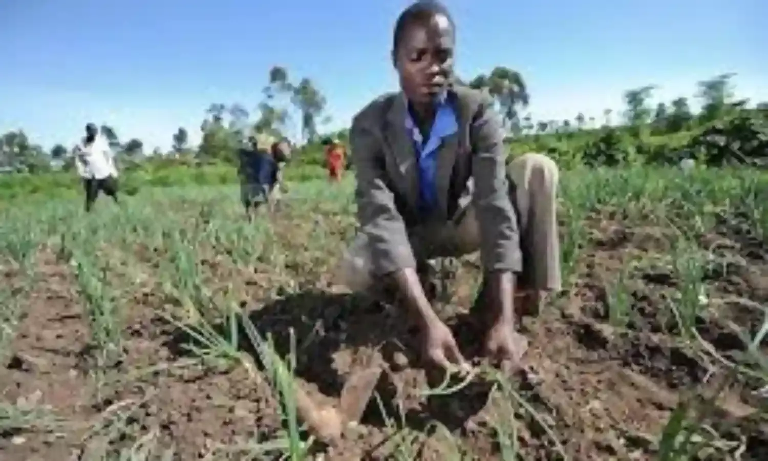 Delta Engages 158 Youths in Agricultural Entrepreneurs Programme