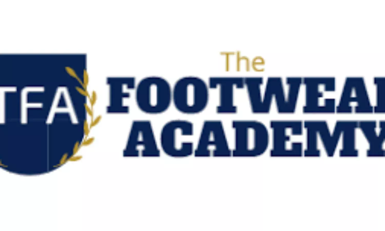 Why we set up shoemaking academy in Aba — Chukwuemeka