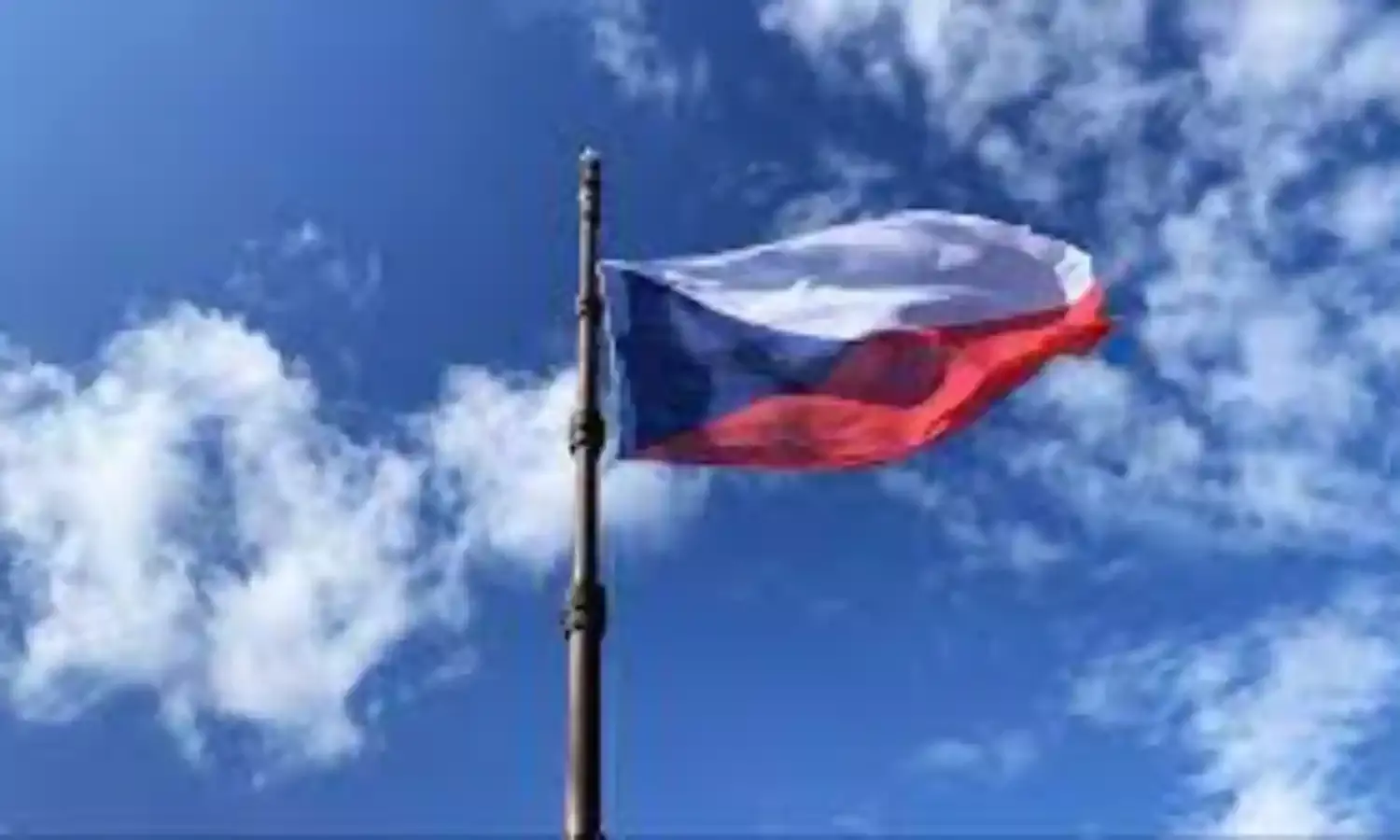 Czech Vaccine Booking Site Crashes