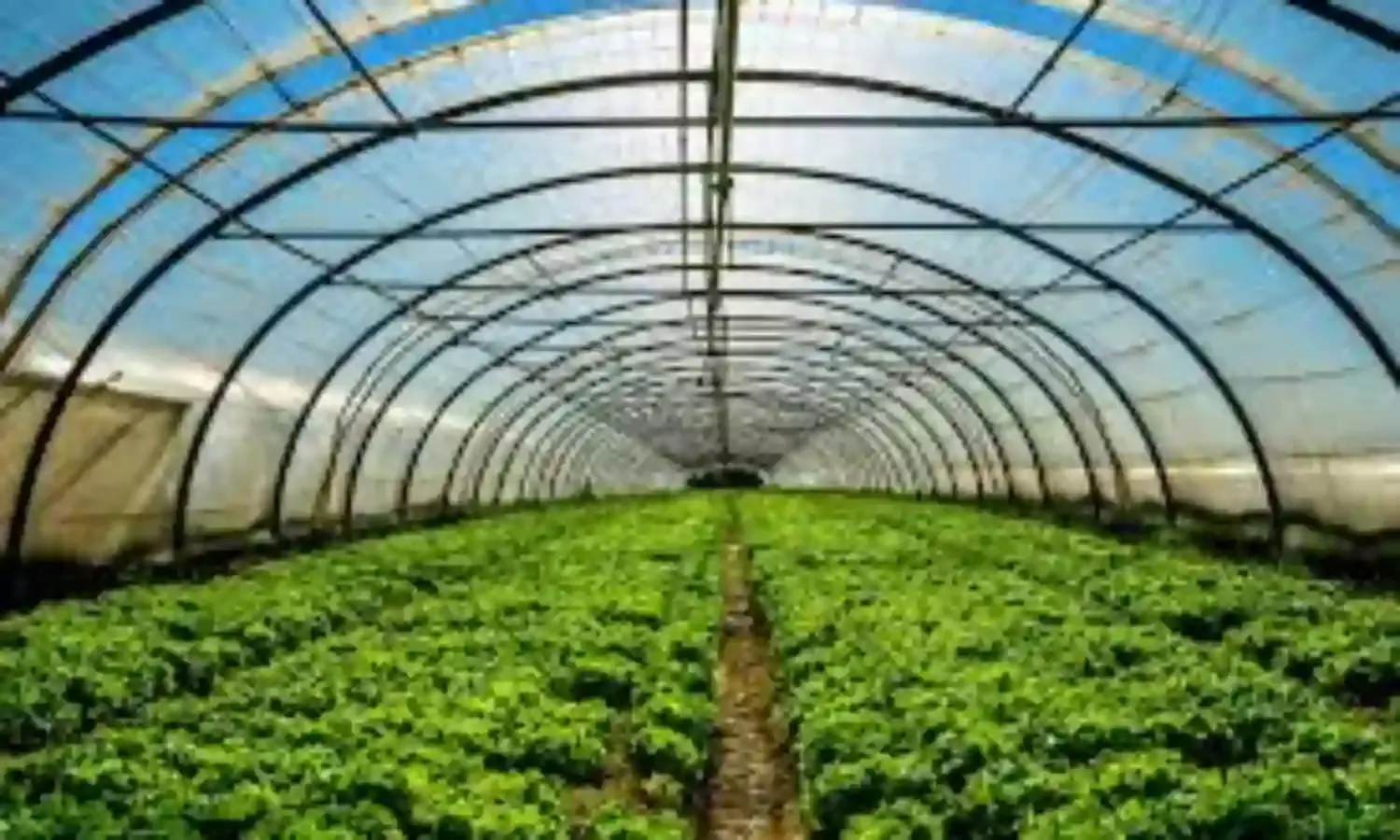 Groups Urges Govt. to Invest More in Agriculture