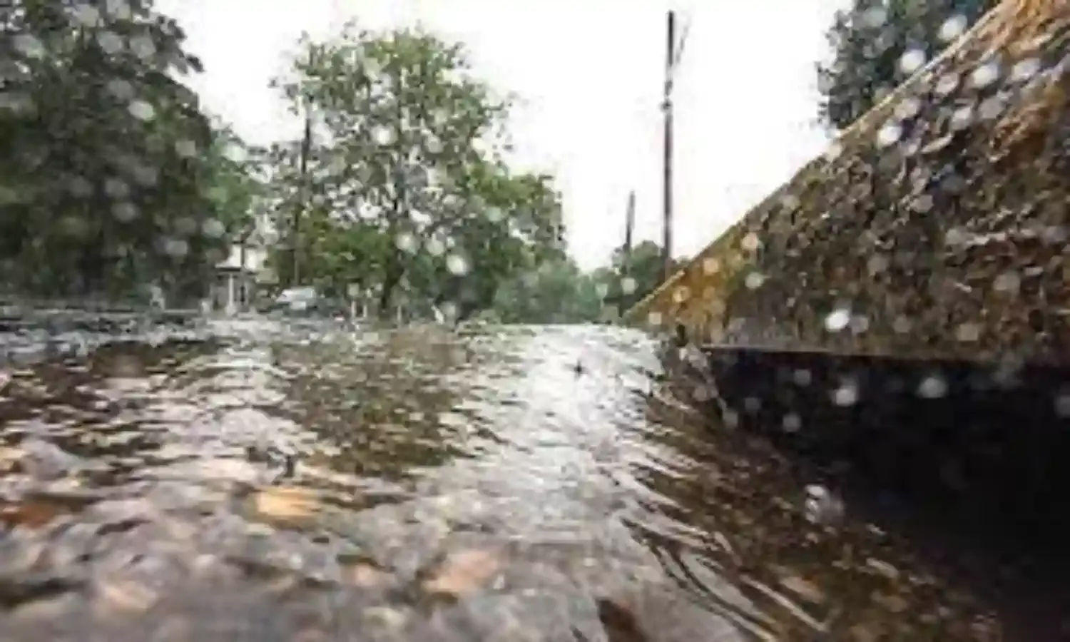 Environmentalist harps on clean drainages