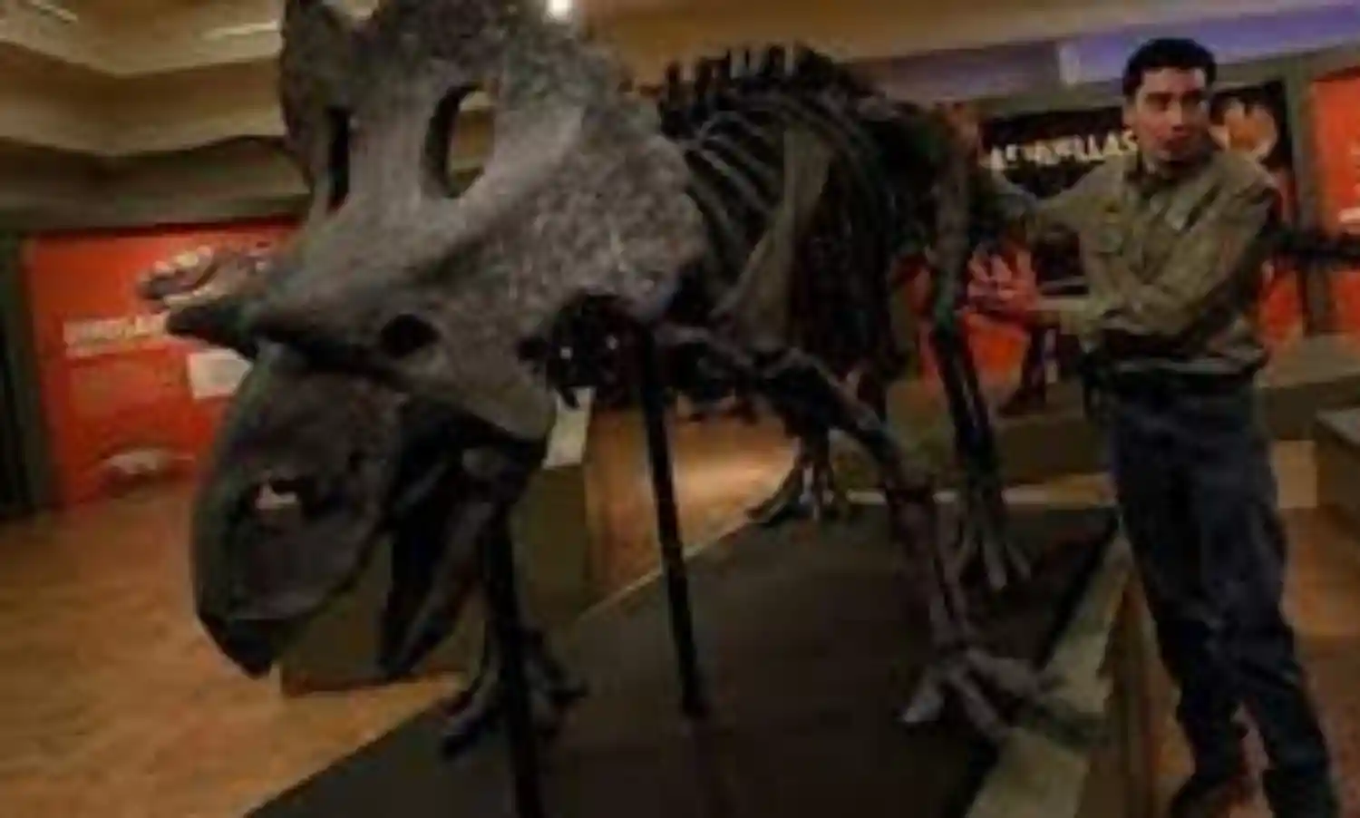 Mexican researchers discover new dinosaur species