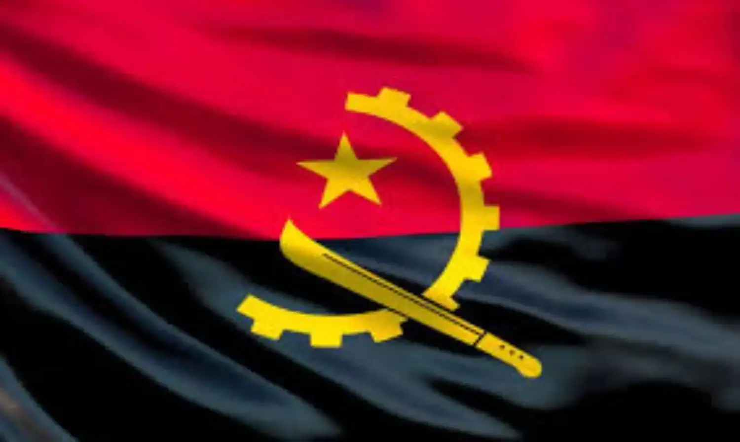 Angola to Produce 600,000 Cubic Metres of Timber