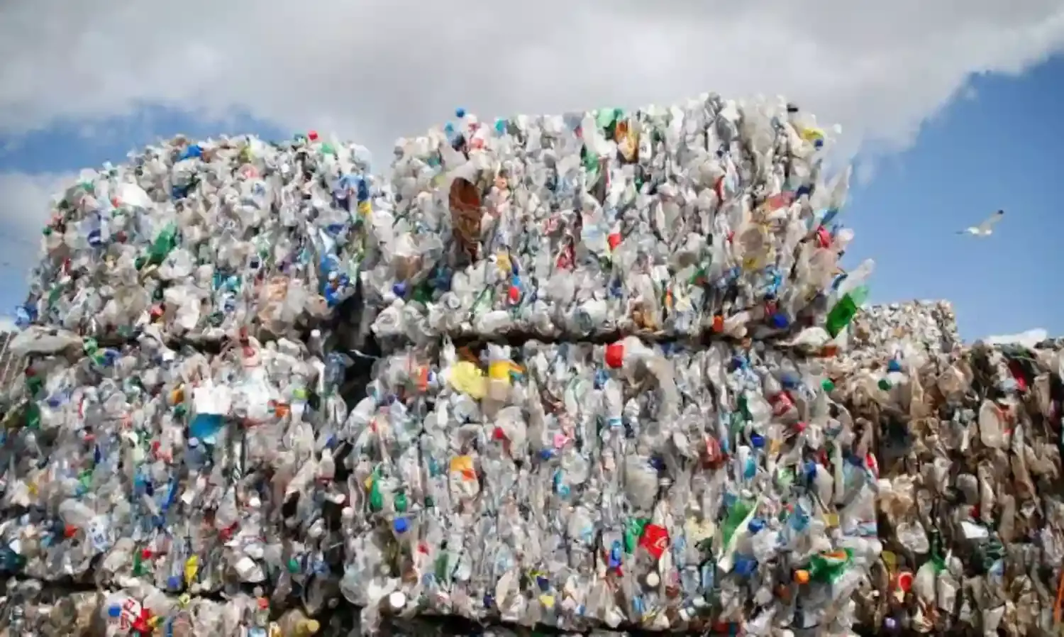 Experts Counsel Youths to Engage in waste recycling