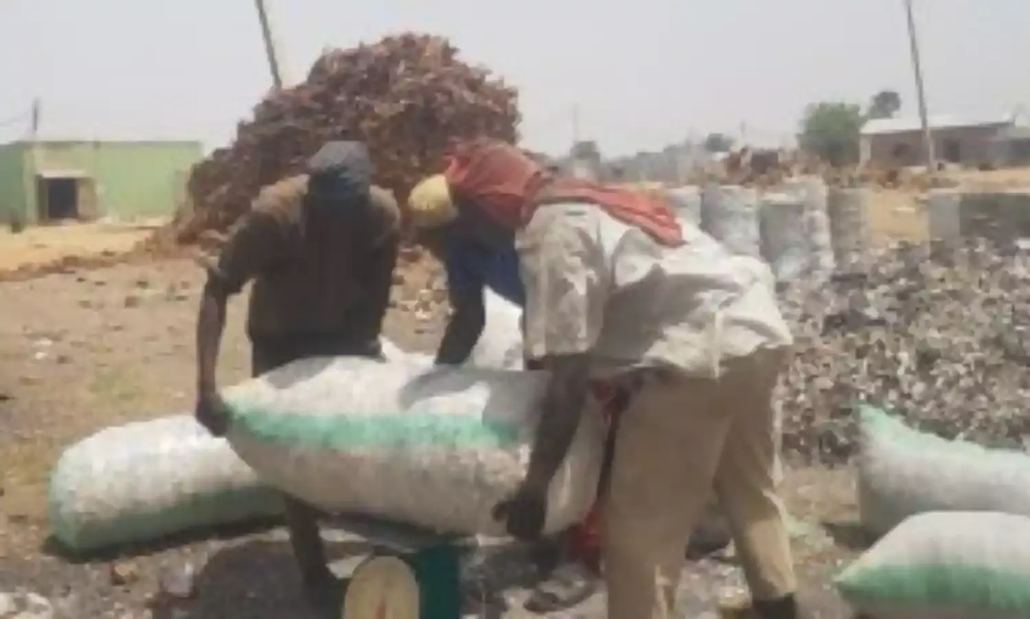 Abbatoir Wastes Create Income  — NAN check