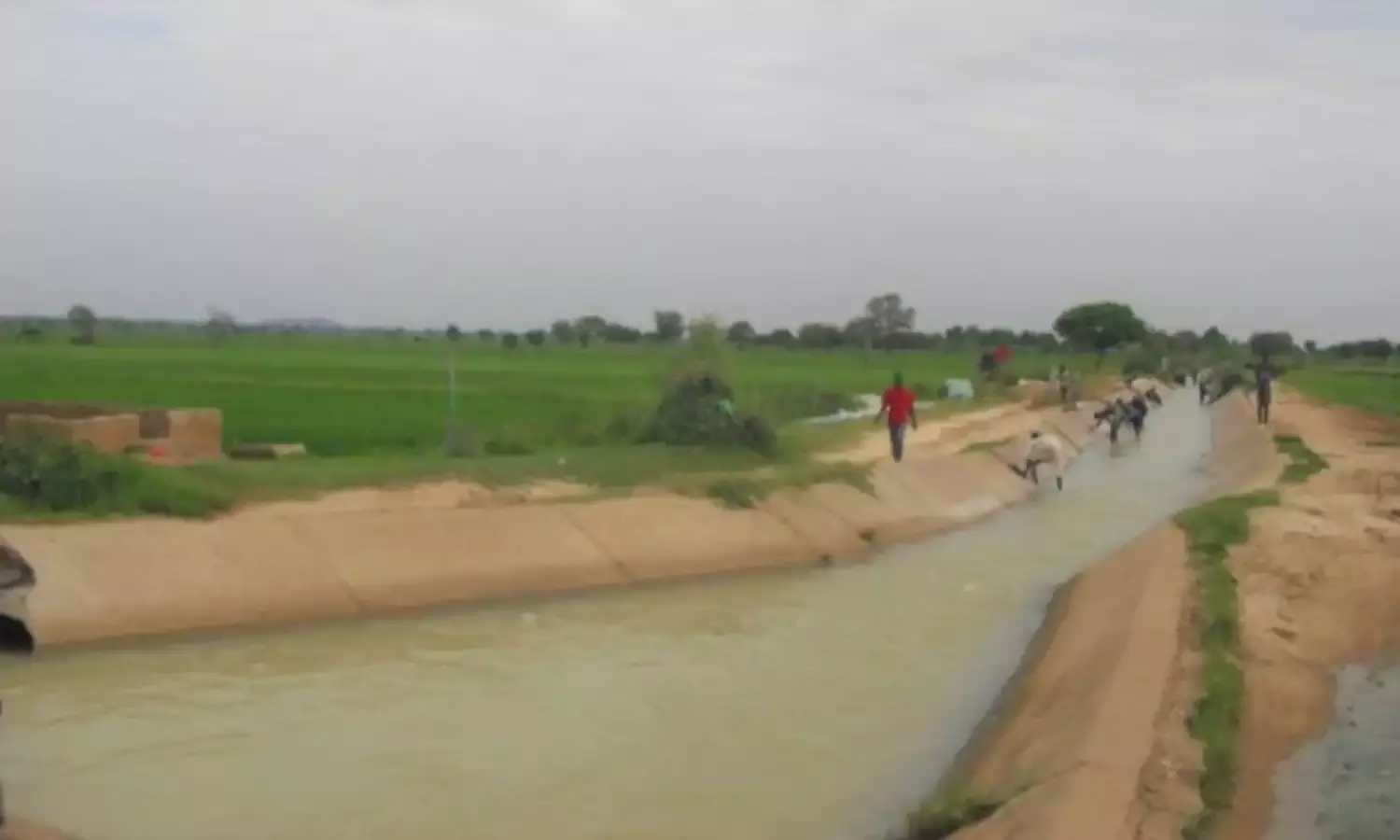 Irrigation: Kano Govt. Releases Water From Watari Dam