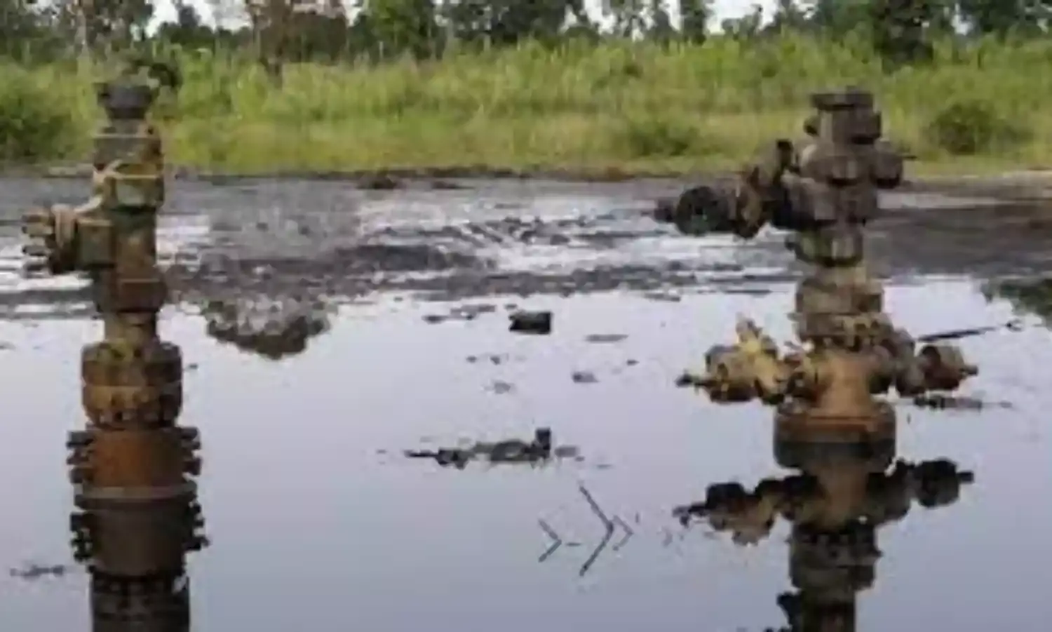 Shell’s Pipeline Spills 213 Barrels of Crude into Bayelsa Community