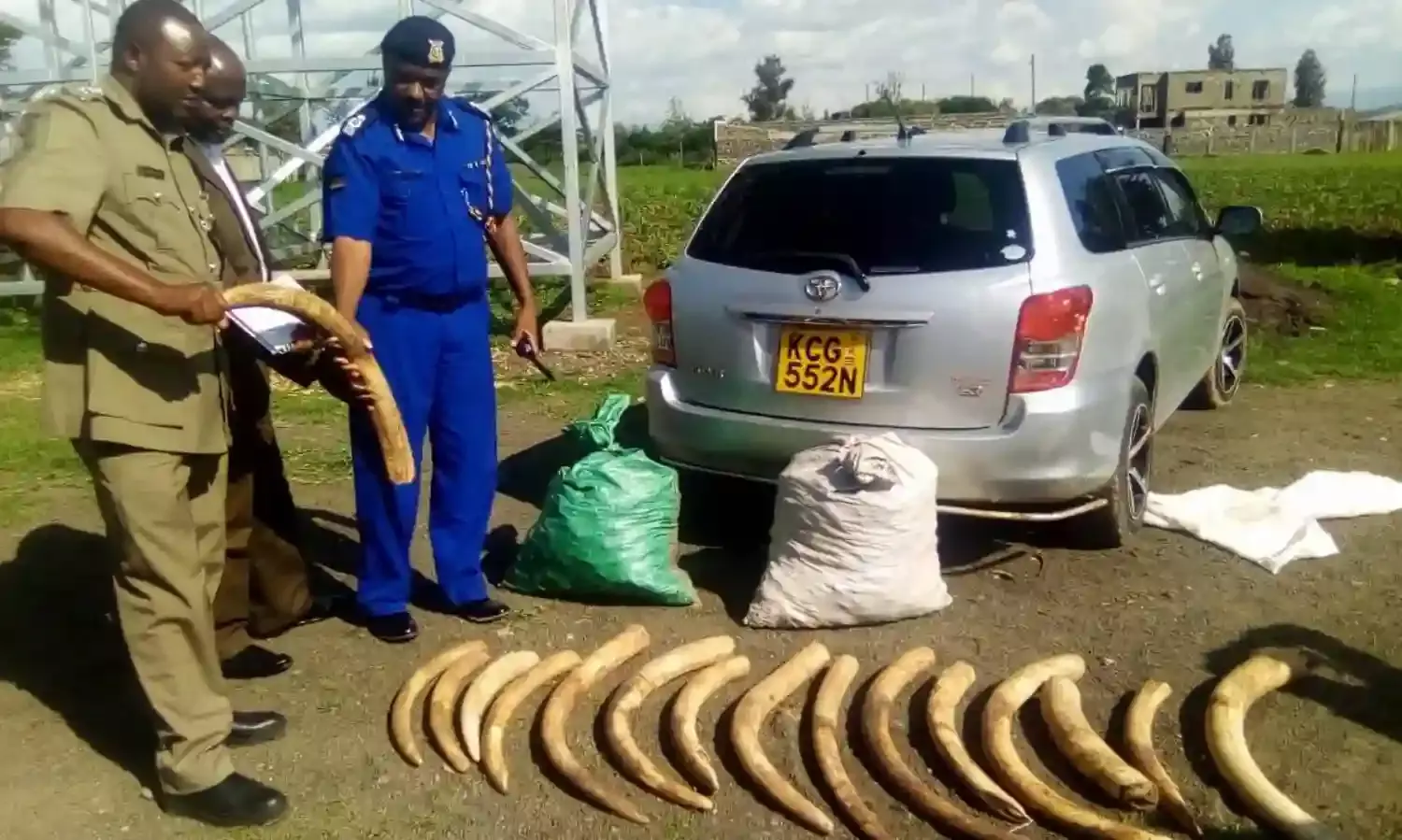 Uganda Jails 2 Over Illegal Possession of Ivory