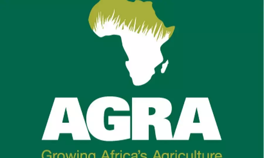 Plant nutrient deficiencies: AGRA identifies balanced fertiliser blends