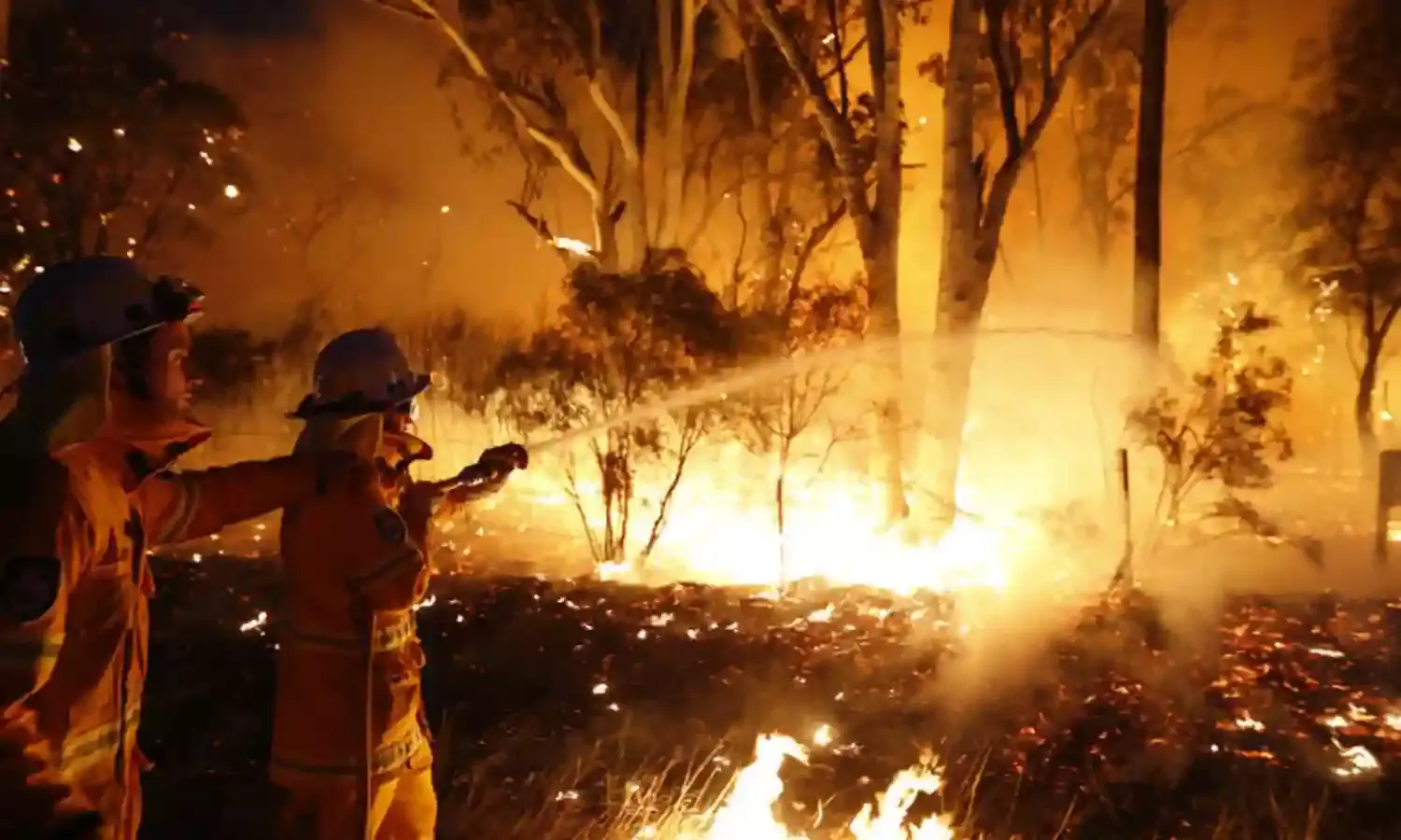 Inexperience, insubordination undermined response to devastating South Australian bushfires – Report