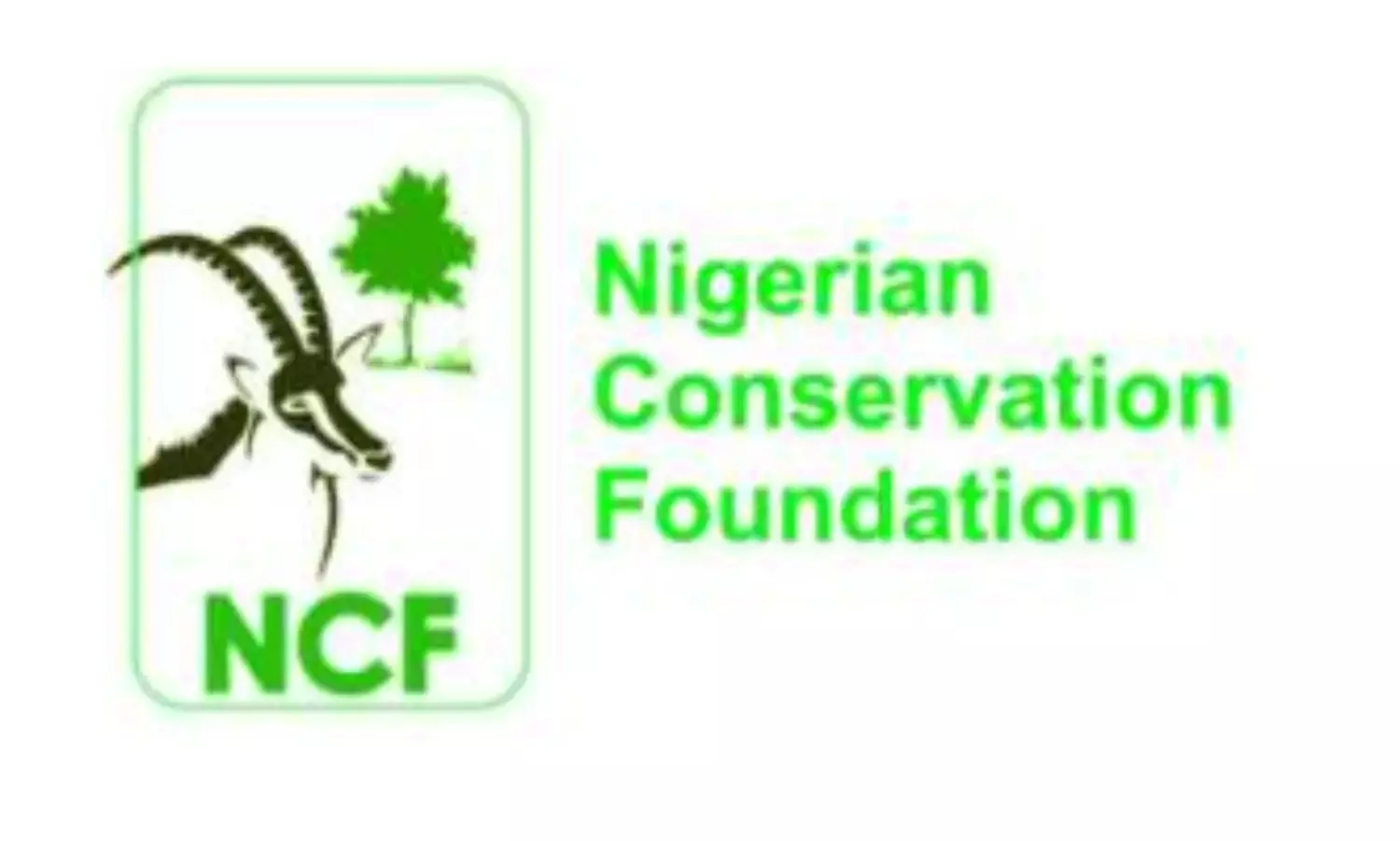 NCF, Keystone Bank, collaborate on tree planting