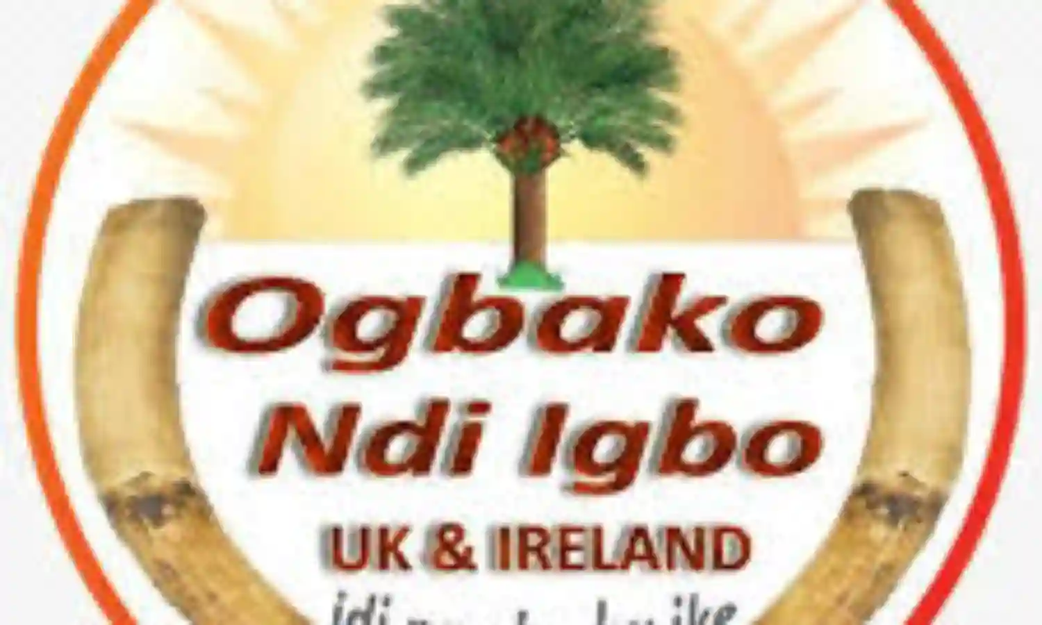 Igbo community in UK tasks S/East govs on protection of lives, property