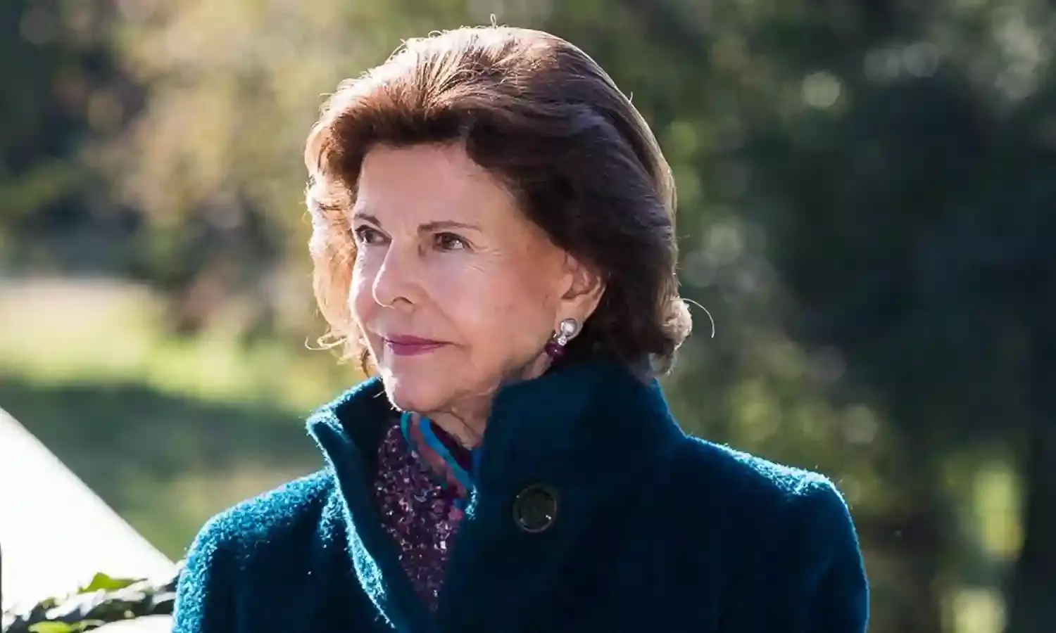 Queen Silvia breaks wrist after falling at home