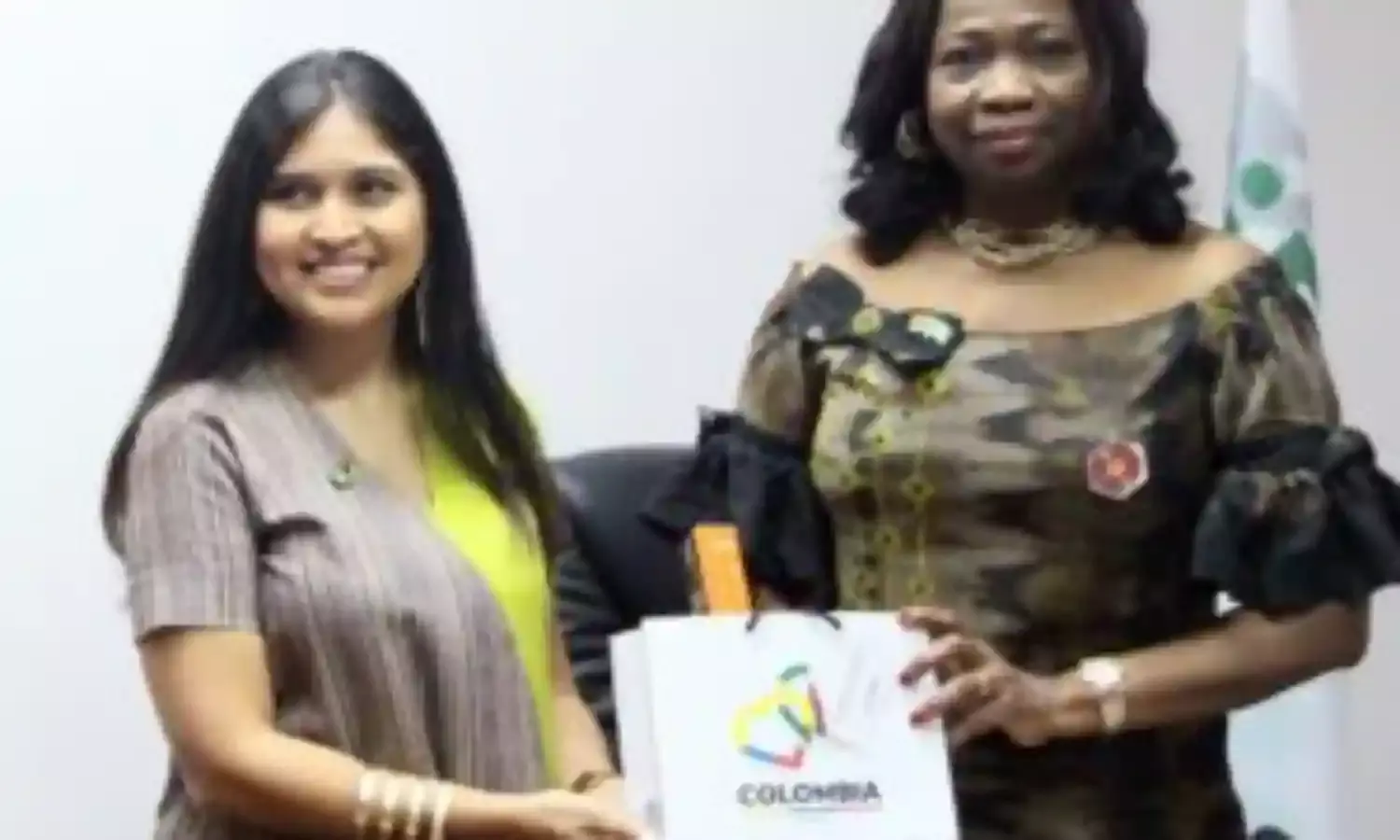 Dabiri-Erewa commends CBN for Diaspora-friendly Forex policy