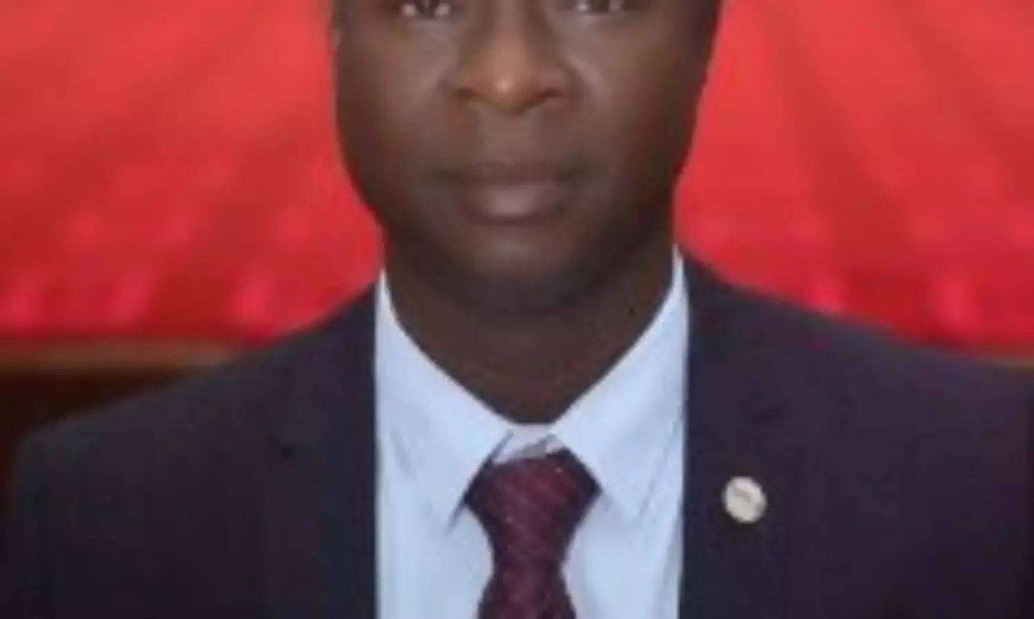 Inflation: NECA advocates robust strategies to attract investors