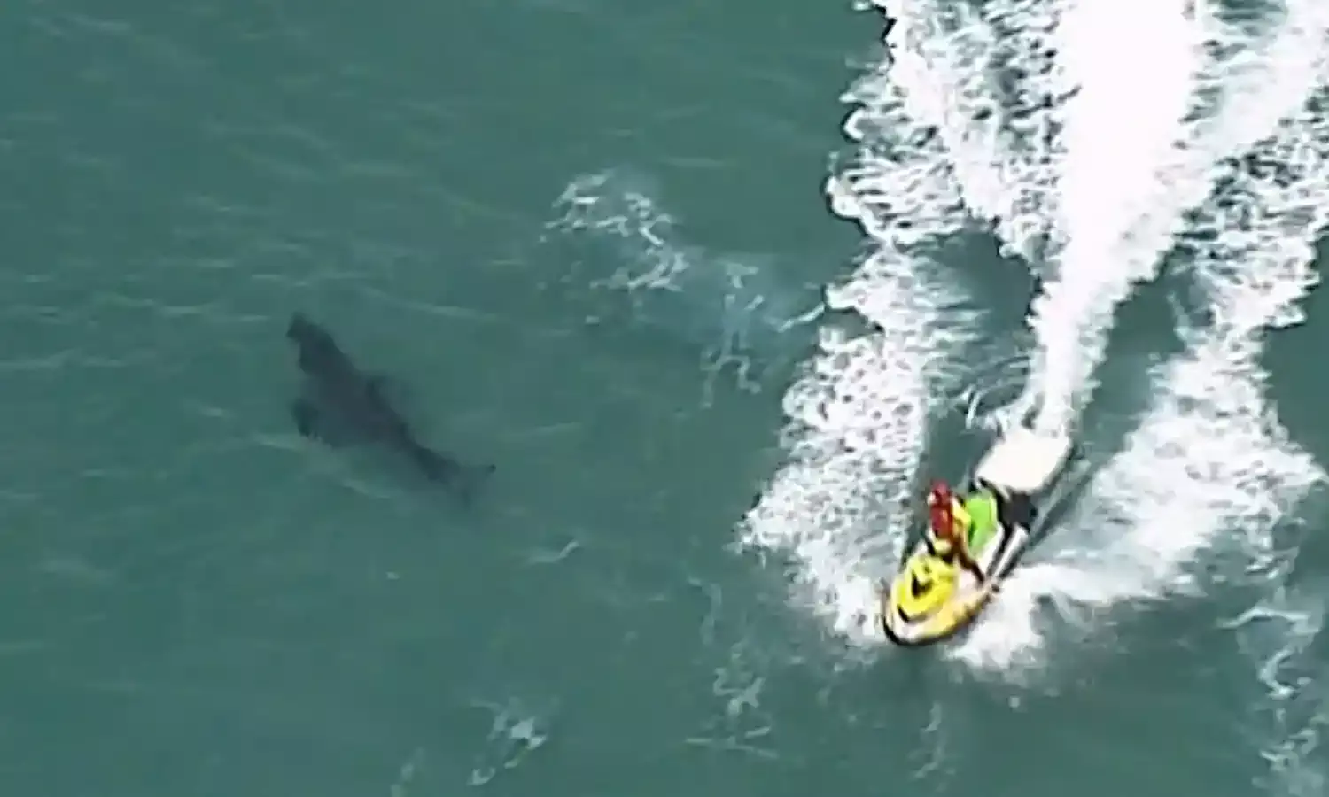 Teenage boy suffers shark attack off Australia’s East coast