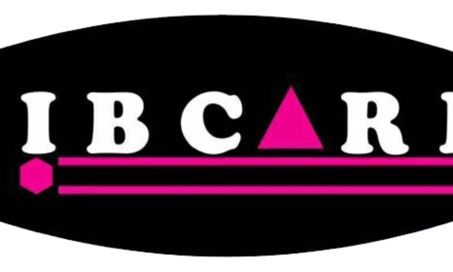 NIBCARD Games to represent Nigeria in world’s largest game exhibition