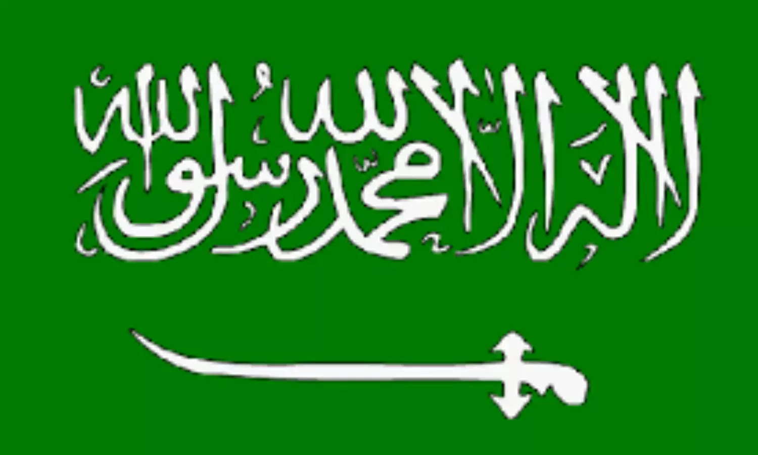 Saudi Arabia dismisses officials over violations at megaprojects