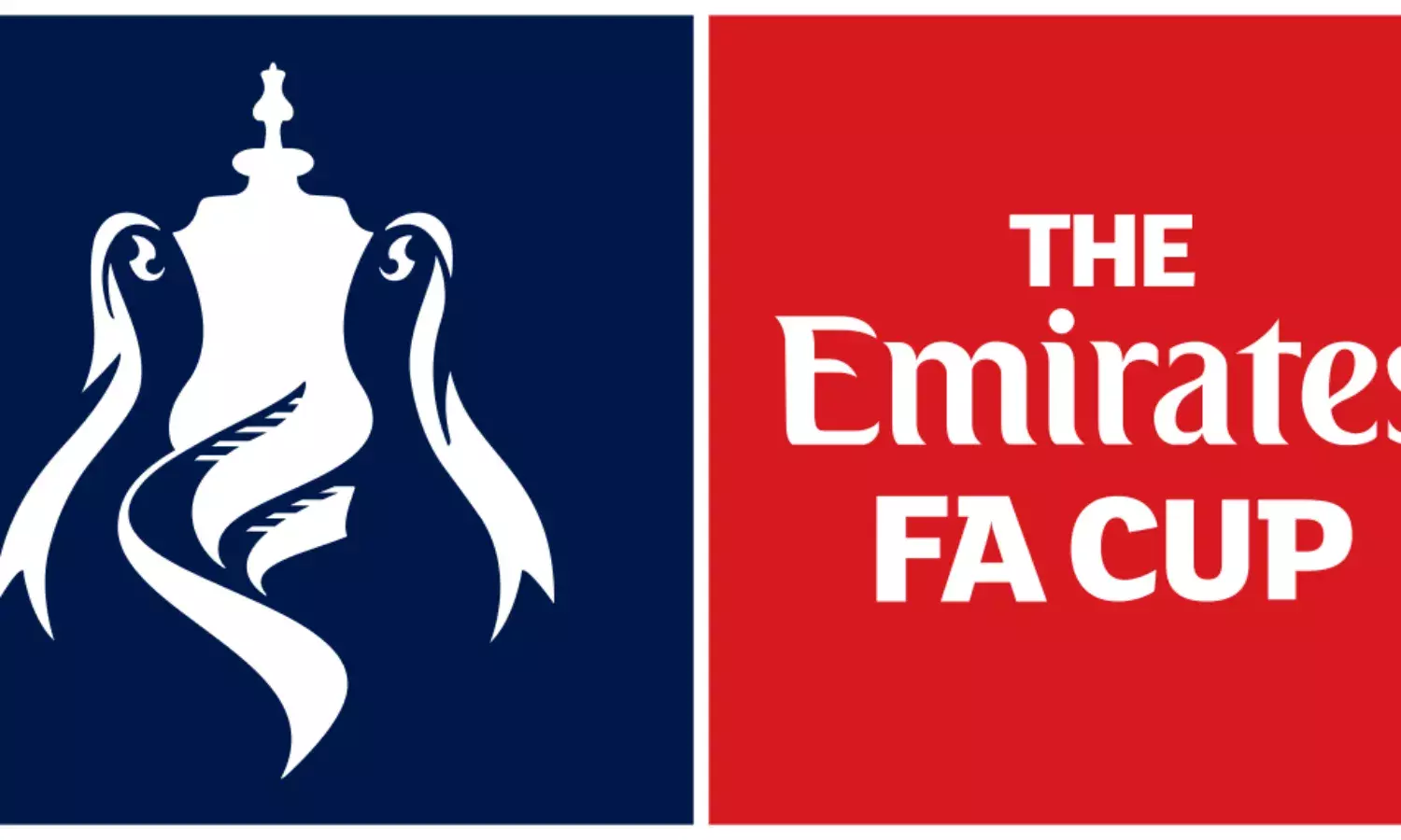 You can send off a player for coughing, English FA tells referees