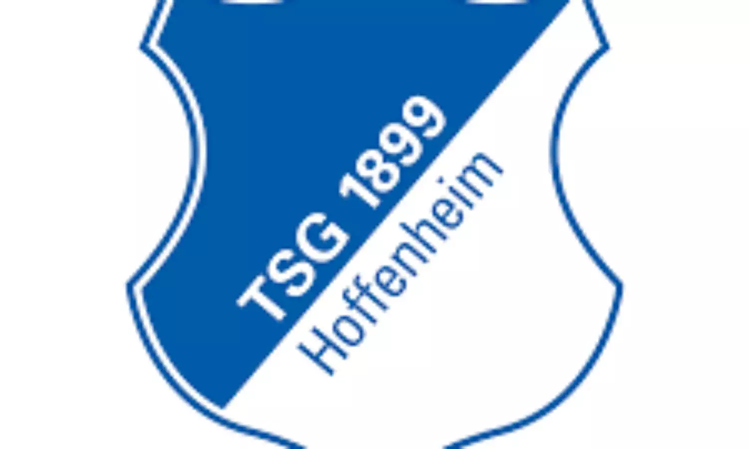 Hoffenheim appoint Bayern Munich reserves coach Hoeness as manager