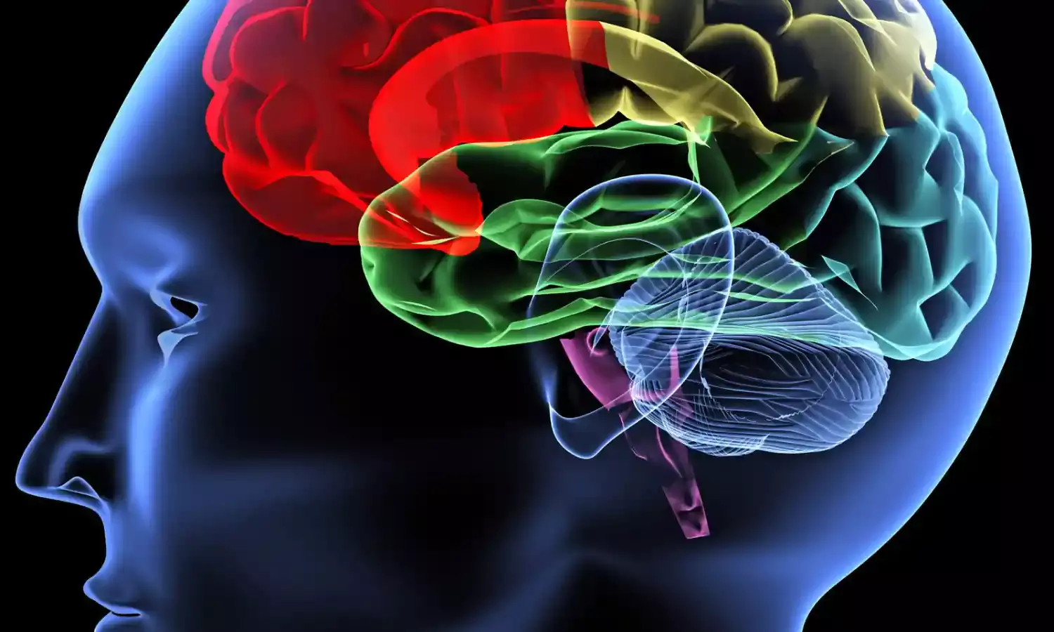 New study warns against  brain damages