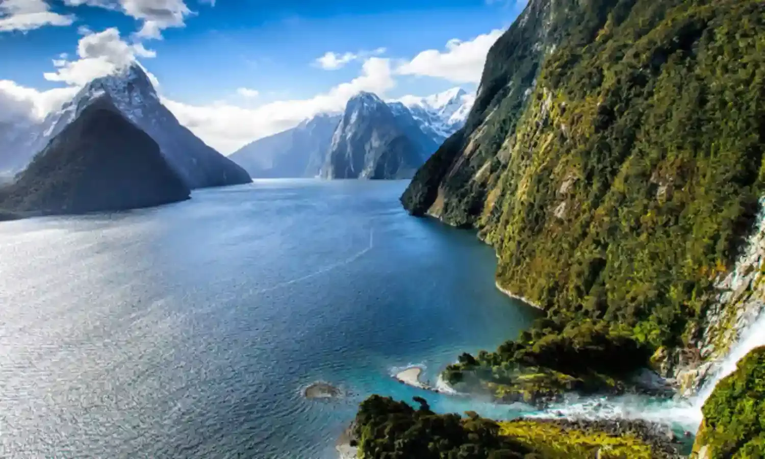 New Zealand joins global facility