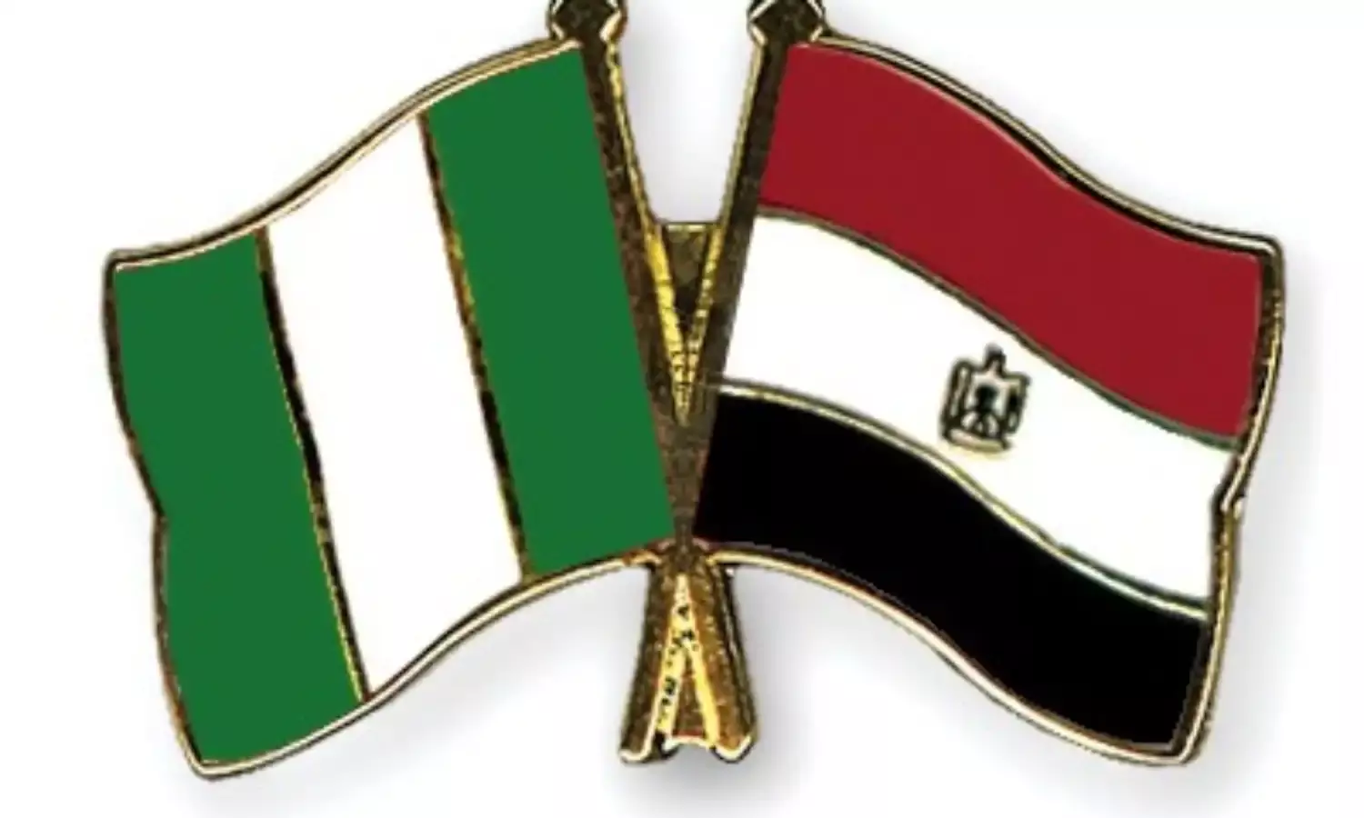 Mission to evacuate Nigerians in Egypt.